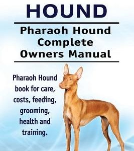 Pharaoh Hound. Pharaoh Hound Complete Owners Manual. Pharaoh Hound book for care, costs, feeding, grooming, health and training.