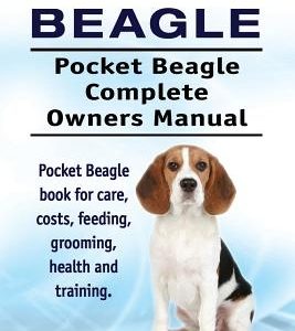 Pocket Beagle. Pocket Beagle Complete Owners Manual. Pocket Beagle book for care, costs, feeding, grooming, health and training.