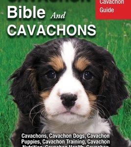 Cavachon Bible And Cavachons: Your Perfect Cavachon Guide Cavachons, Cavachon Dogs, Cavachon Puppies, Cavachon Training, Cavachon Nutrition, Cavacho