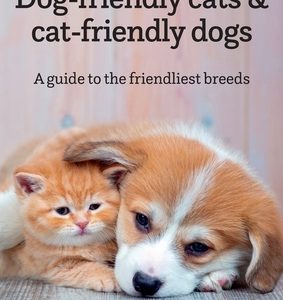 Dog-friendly cats & cat-friendly dogs: A guide to the friendliest breeds