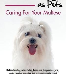 Maltese Dogs as Pets: Maltese breeding, where to buy, types, care, temperament, cost, health, showing, grooming, diet, and much more include
