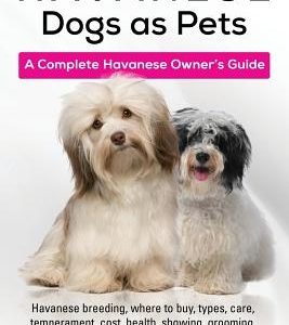 Havanese Dogs as Pets: Havanese breeding, where to buy, types, care, temperament, cost, health, showing, grooming, diet, training, and much m