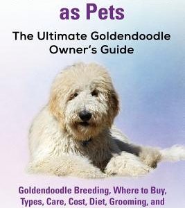 Goldendoodles as Pets: Goldendoodle Breeding, Where to Buy, Types, Care, Cost, Diet, Grooming, and Training all Included. The Ultimate Golden