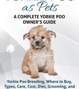 Yorkie Poo as Pets: Yorkie Poo Breeding, Where to Buy, Types, Care, Cost, Diet, Grooming, and Training all Included. A Complete Yorkie Poo