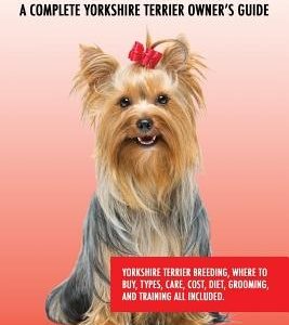 Yorkshire Terrier as Pets: Yorkshire Terrier Breeding, Where to Buy, Types, Care, Cost, Diet, Grooming, and Training all Included. A Complete Yor