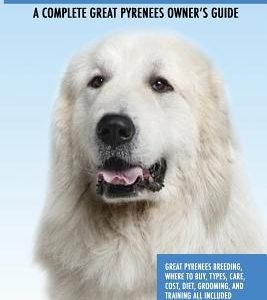 Great Pyrenees: Great Pyrenees Breeding, Where to Buy, Types, Care, Cost, Diet, Grooming, and Training all Included. A Complete Great