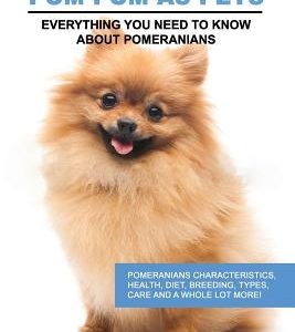 Pomeranian as Pets: Pomeranians Characteristics, Health, Diet, Breeding, Types, Care and a whole lot more! Everything You Need to Know abo