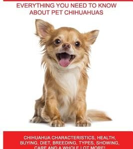 Chihuahuas: Chihuahua Characteristics, Health, Buying, Diet, Breeding, Types, Showing, Care and a whole lot more! Everything You N