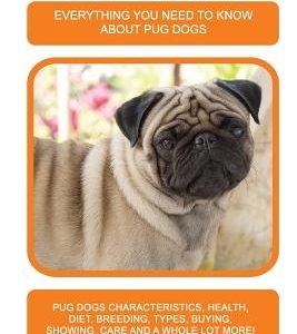 Pug Dogs as Pets: Pug Dogs Characteristics, Health, Diet, Breeding, Types, Buying, Showing, Care and a whole lot more! Everything You Ne