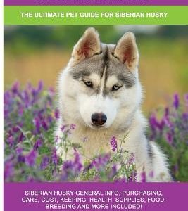 Siberian Husky: Siberian Husky General Info, Purchasing, Care, Cost, Keeping, Health, Supplies, Food, Breeding and More Included! The