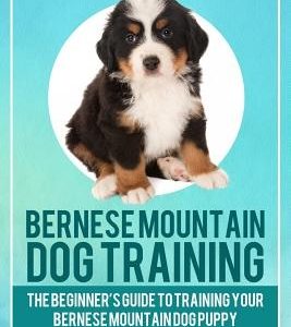 Bernese Mountain Dog Training: The Beginner's Guide to Training Your Bernese Mountain Dog Puppy: Includes Potty Training, Sit, Stay, Fetch, Drop, Lea