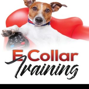 E Collar Training: Everything You Need to Know to Effectively Train Your Dog with an E Collar
