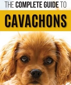 The Complete Guide to Cavachons: Choosing, Training, Teaching, Feeding, and Loving Your Cavachon Dog