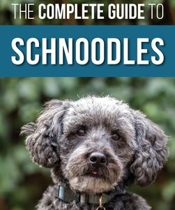The Complete Guide to Schnoodles: Selecting, Training, Feeding, Exercising, Socializing, and Loving Your New Schnoodle Puppy