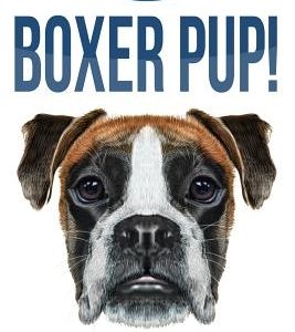 Boxer Pup!: How to Leash Train Your Boxer Puppy