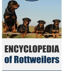 Encyclopedia of Rottweilers: So, I Got a Rottweiler What Now?
