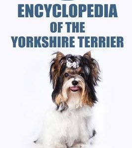 Encyclopedia of the Yorkshire Terrier: How to Start Training Your Yorkshire Terrier