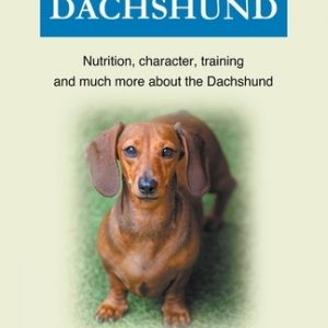 Dachshund