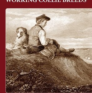 The History of the Working Collie Breeds