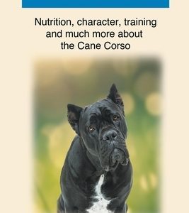 Cane Corso