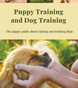 Puppy Training and Dog Training