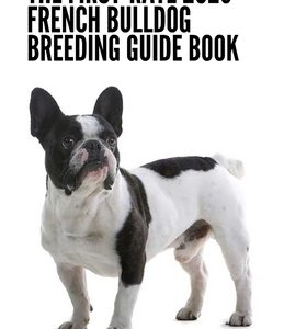 The First-rate 2023 French Bulldog Breeding Guide Book: Everything You Need To Know