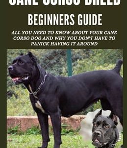 Cane Corso Breed Beginner's Guide: All You Need to Know About Your Cane Corso Dog and Why You Don't Have to Panick Having it Around