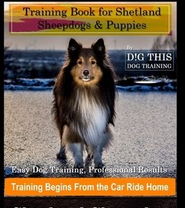 Sheltie Training Book for Shetland Sheepdogs & Puppies By D!G THIS DOG Training, Easy Dog Training, Professional Results, Training Begins from the Car