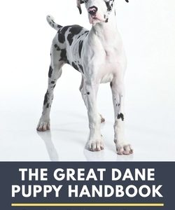 The Great Dane Puppy Handbook: A Complete Guide to the First Year