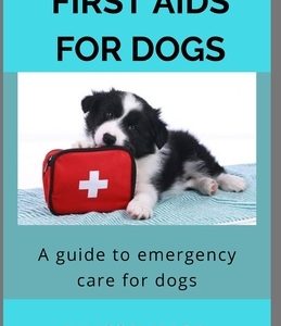 First AIDS for Dog: A Guide to Emergency Care for Dogs