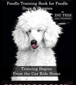 Poodle Dog, Poodle Training Book for Poodle Dogs & Puppies By D!G THIS DOG Training, From the Car Ride Home Training Begins, Poodle Dog Book