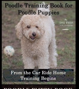 Poodle Puppy, Poodle Training Book for Poodle Puppies By D!G THIS DOG Training, From the Car Ride Home, Training Begins, Poodle Puppy Book
