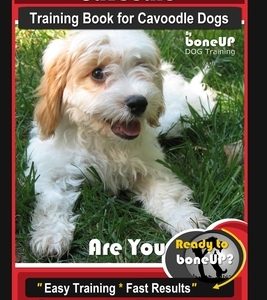 Cavoodle Training Book for Cavoodle Dogs By BoneUP DOG Training, Are You Ready to Bone Up? Easy Training * Fast Results, Cavoodle Training