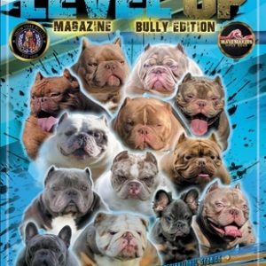 Level Up: Magazine Bully Edition
