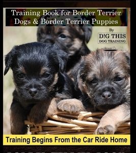 Border Terrier Training Book for Border Terrier Dogs & Border Terrier Puppies By D!G THIS DOG Training, Training Begins From the Car Ride Home, Border