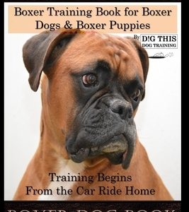Boxer Dogs, Boxer Training Book for Boxer Dogs & Boxer Puppies By D!G THIS DOG Training Training Begins From the Car Ride Home, Boxer Dog Book