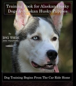 Alaskan Husky Training Book for Alaskan Husky Dogs & Alaskan Husky Puppies By D!G THIS DOG Training, Dog Training Begins From the Car Ride Home, Alask