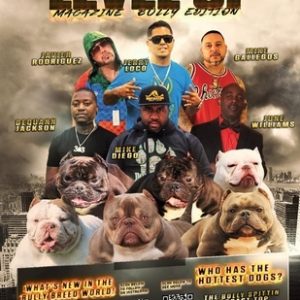 Level Up: Magazine Bully Edition