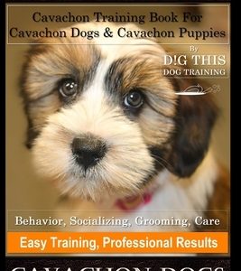 Cavachon, Cavachon Training Book for Cavachon Dogs & Cavachon Puppies By D!G THIS DOG Training, Behavior, Socializing, Grooming, Care, Easy Training,