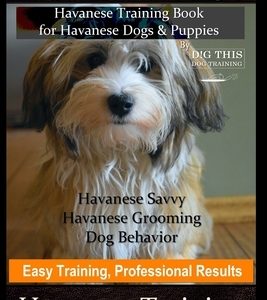 Havanese Dogs, Havanese Training Book for Havanese Dogs &Puppies, By DiG TH!S DOG Training, Havanese Savvy, Havanese Grooming, Dog Behavior, Easy Trai