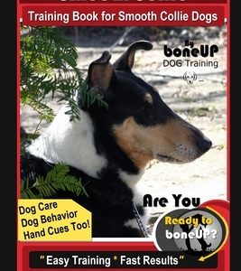 Smooth Collie Training Book for Smooth Collie Dogs By BoneUP DOG Training, Dog Care, Dog Behavior, Hand Cues Too! Are You Ready to Bone Up? Easy Train