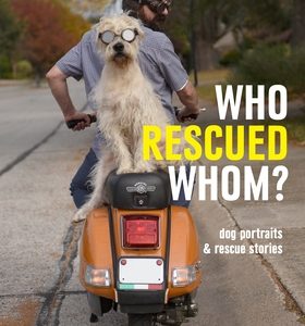 Who Rescued Whom: Dogs Portraits & Rescue Stories