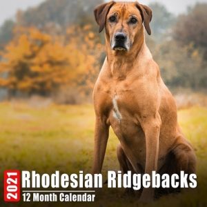 Calendar 2021 Rhodesian Ridgebacks: Cute Rhodesian Ridgeback Photos Monthly Mini Calendar With Inspirational Quotes each Month