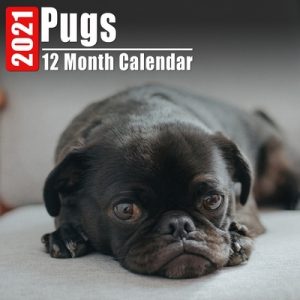 Calendar 2021 Pugs: Cute Pug Photos Monthly Mini Calendar With Inspirational Quotes each Month