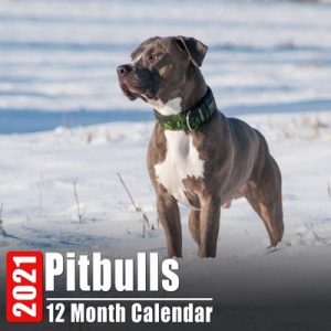 Calendar 2021 Pitbulls: Cute Pitbull Photos Monthly Mini Calendar With Inspirational Quotes each Month