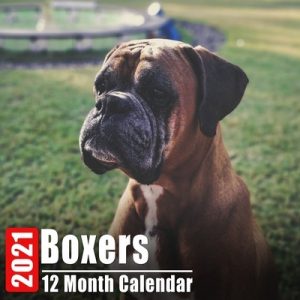 Calendar 2021 Boxers: Cute Boxer Photos Monthly Mini Calendar With Inspirational Quotes each Month