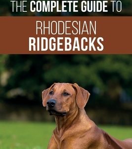 The Complete Guide to Rhodesian Ridgebacks: Breed Behavioral Characteristics, History, Training, Nutrition, and Health Care for Your new Ridgeback Dog