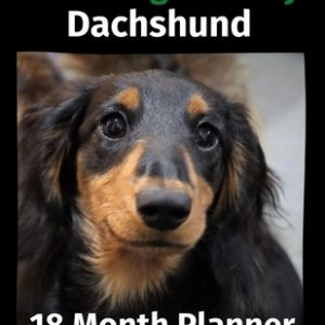 The Thoughts of My Dachshund: 18 Month Planner Jan 2021-June 2022
