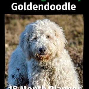The Thoughts of My Goldendoodle: 18 Month Planner Jan 2021-June 2022