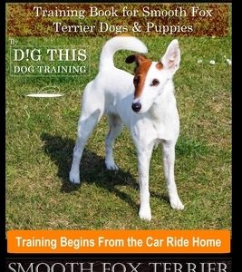 Smooth Fox Terrier Training Book for Smooth Fox Terrier Dogs & Puppies By D!G THIS DOG Training, Training Begins from the Car Ride Home, Smooth Fox Te